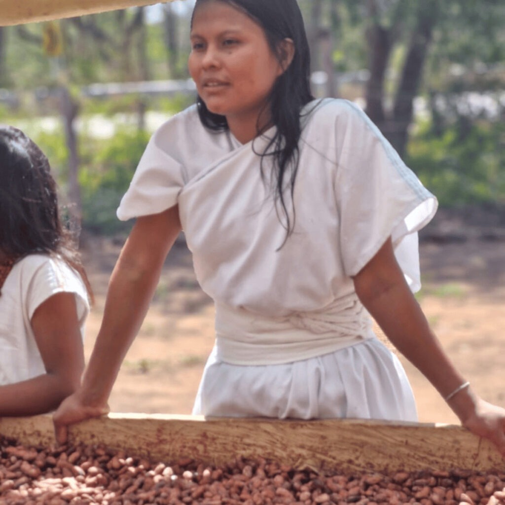 Photo d'une jeune fille qui fait sécher des fèves de cacao Ancestral en Colombie
