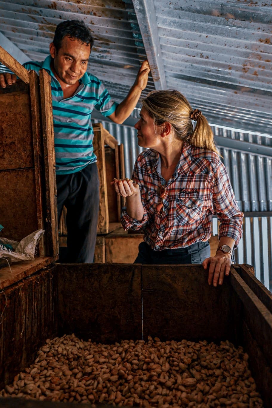 Photo de fermentation des fèves de cacao