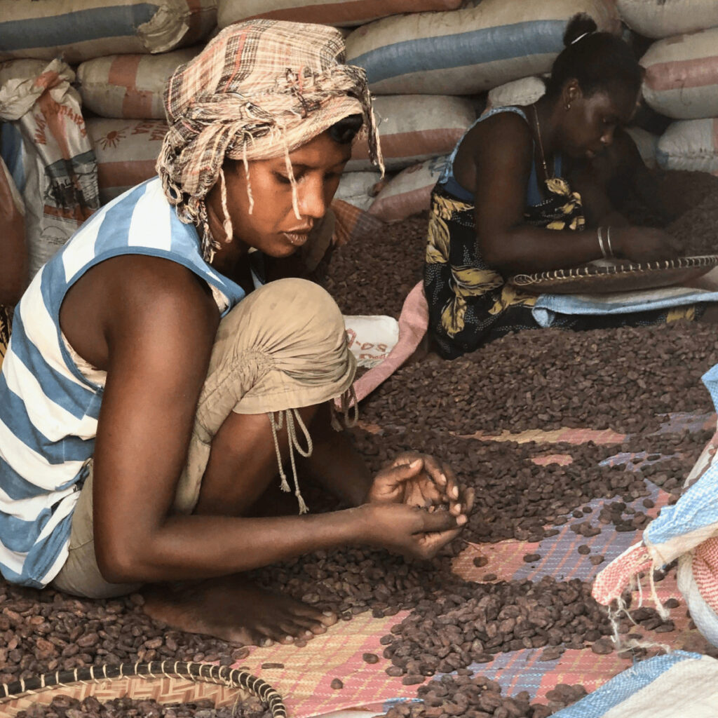 Photo d'un jeune garçon et d'un jeune fille qui tri des fèves de cacao tsarafandray à Madagascar