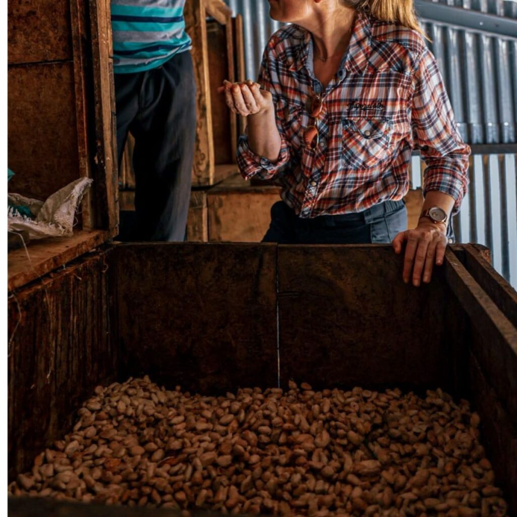 fermentation cacao