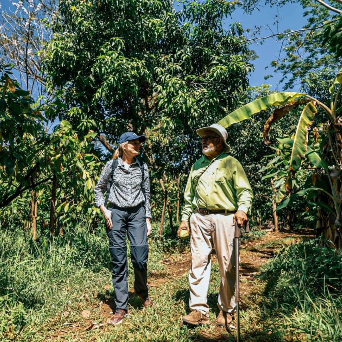 FINCA CHIQUIHUAT EL SALVADOR.jpg FINCA CHIQUIHUAT EL SALVADOR.jpg
